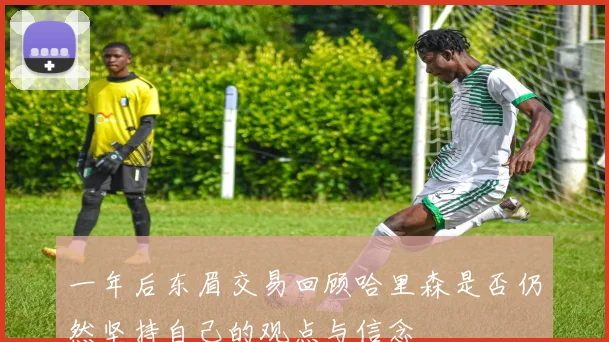 一年后东眉交易回顾哈里森是否仍然坚持自己的观点与信念